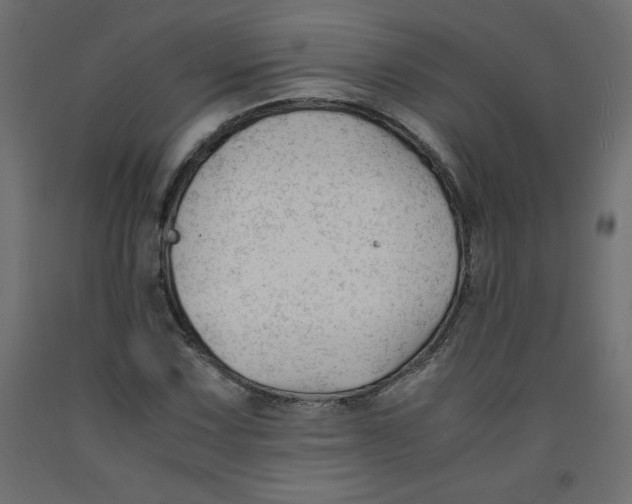 X0000092311067200710121453