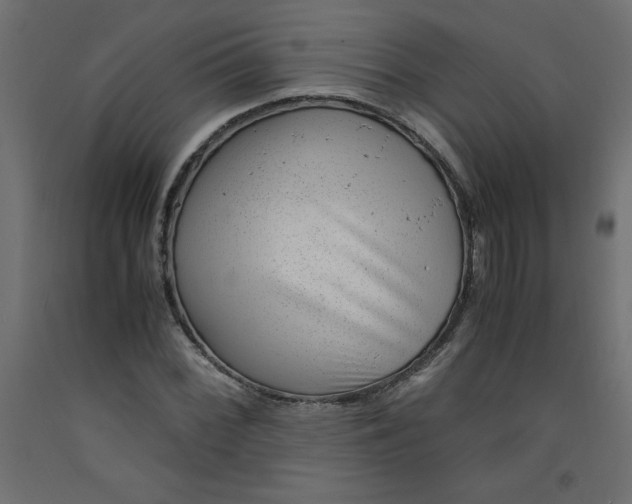 X0000092311068200710121453