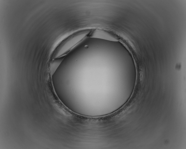 X0000092311069200710121453