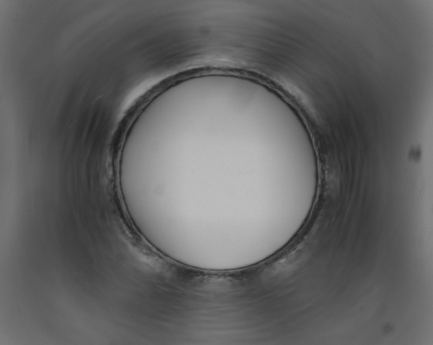 X0000092311070200710121453