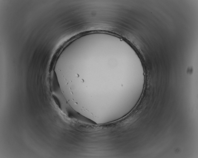 X0000092311072200710121453