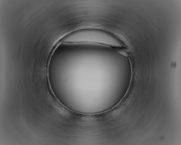 X0000092311073200710121453