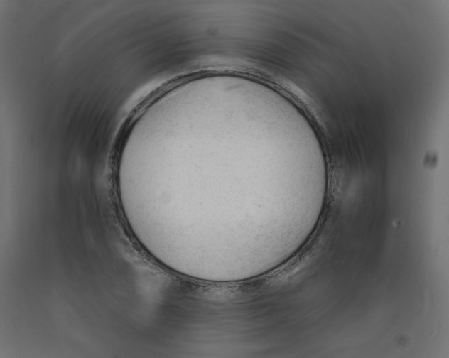 X0000092311074200710121453
