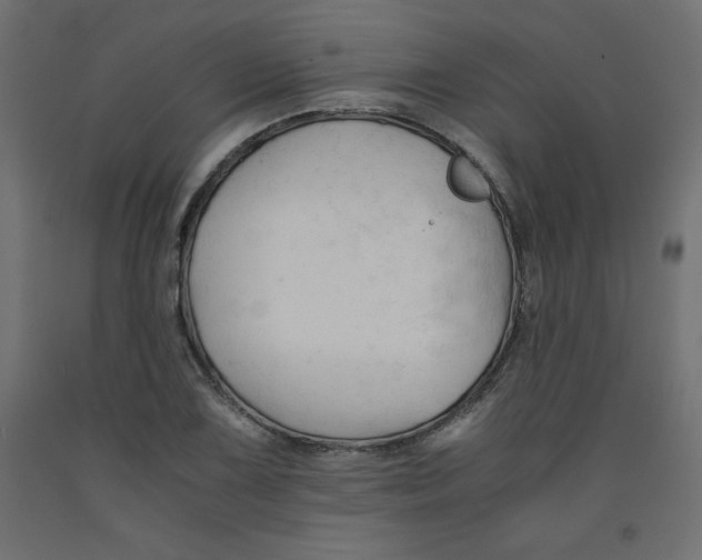 X0000092311075200710121453
