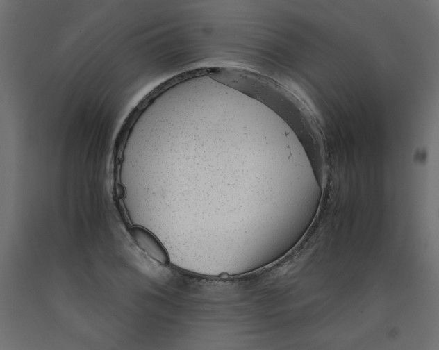 X0000092311076200710121453