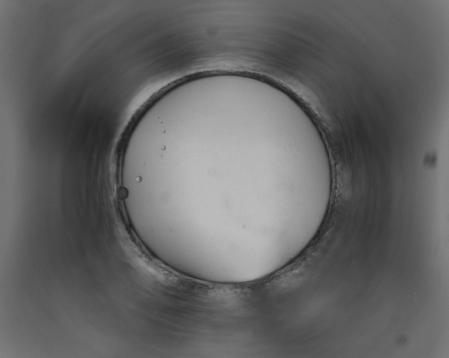 X0000092311078200710121453