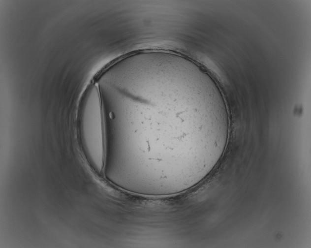 X0000092311079200710121453