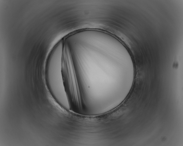 X0000092311080200710121453