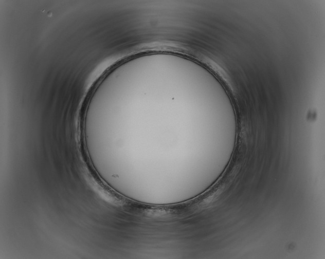 X0000092311082200710121453