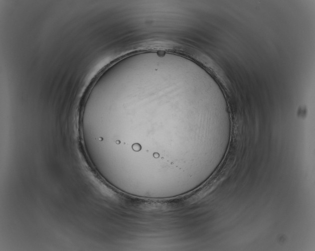 X0000092311083200710121453