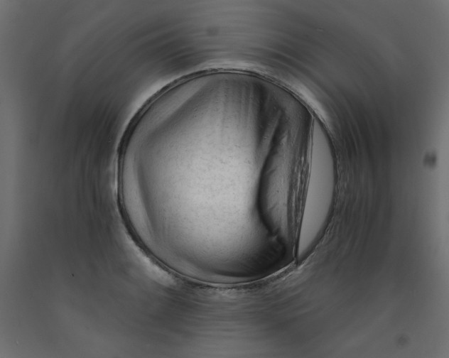X0000092311084200710121453
