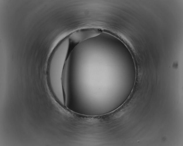 X0000092311085200710121453