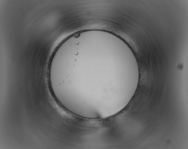 X0000092311086200710121453