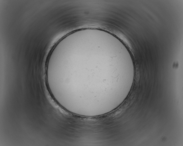 X0000092311088200710121453