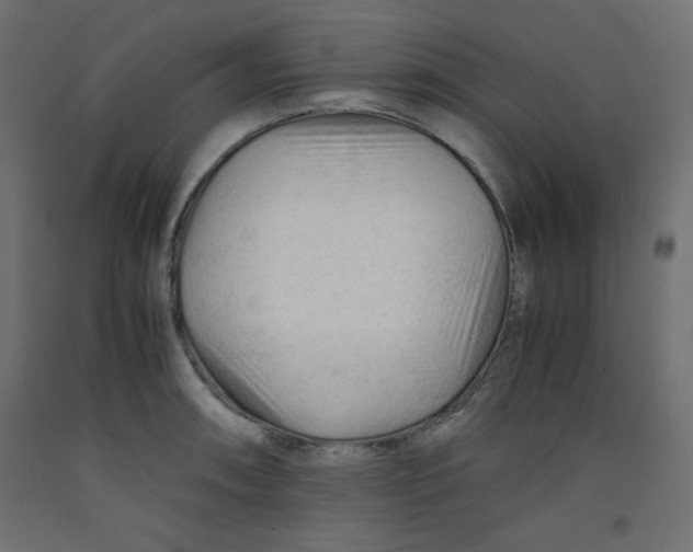 X0000092311090200710121453