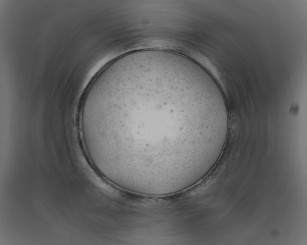 X0000092311091200710121453
