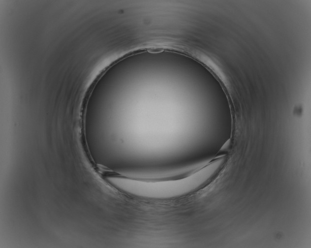 X0000092311093200710121453