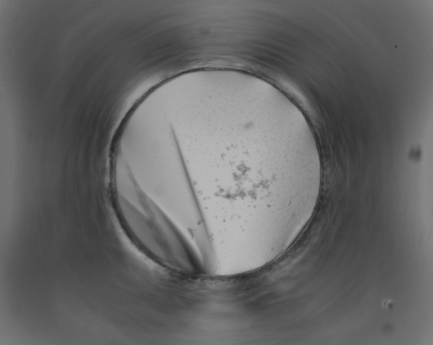 X0000092311095200710121453