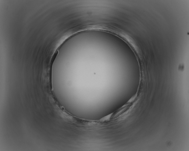 X0000092311097200710121453