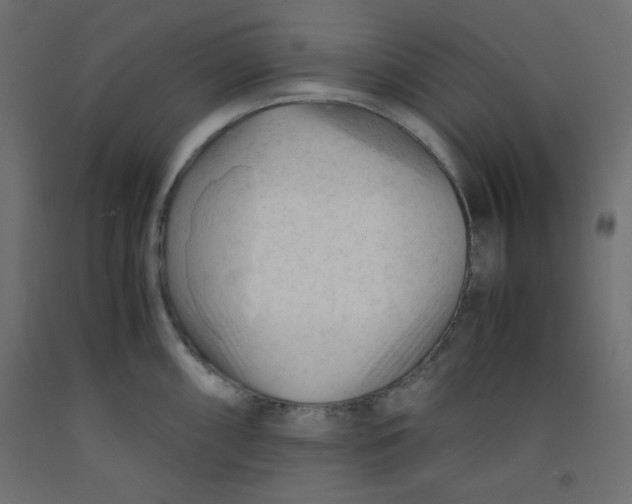 X0000092311098200710121453