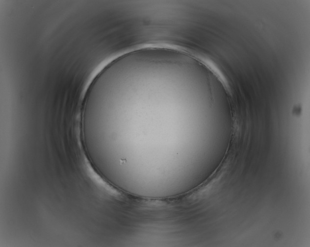 X0000092311100200710121453
