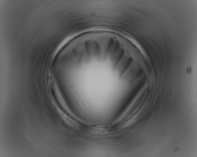 X0000092311101200710121453
