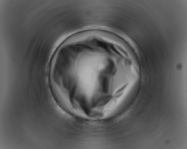 X0000092311102200710121453