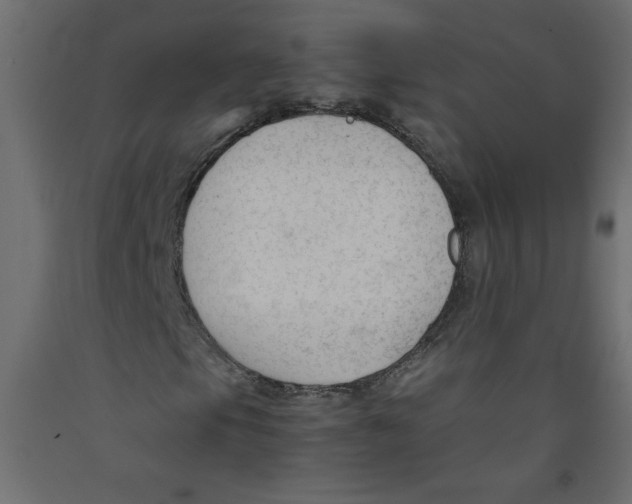 X0000092311105200710121452