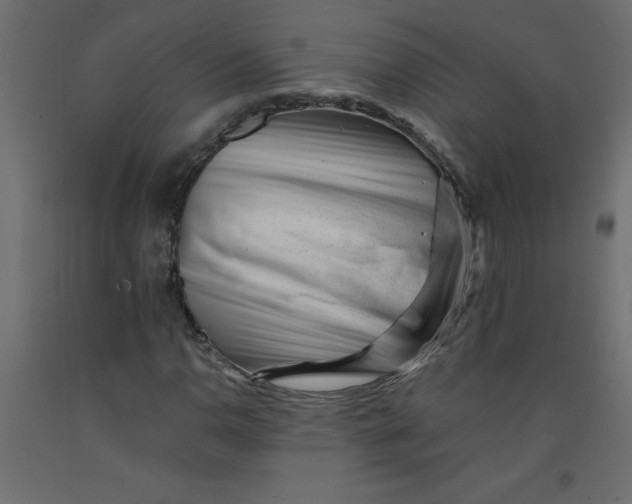 X0000092311110200710121452