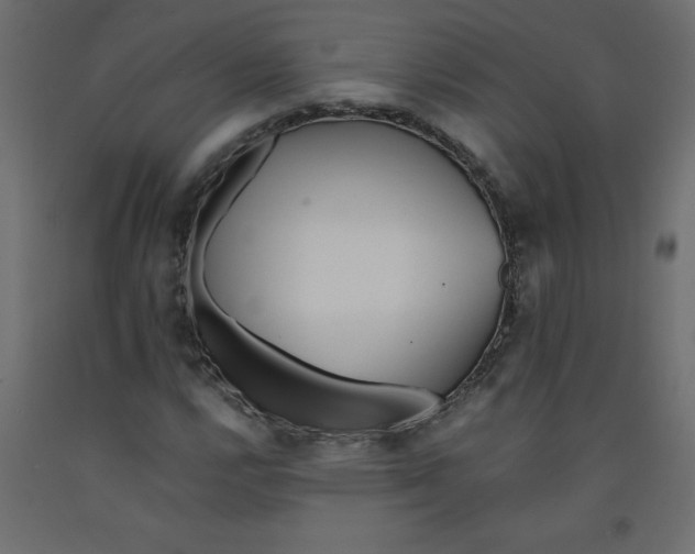 X0000092311112200710121452