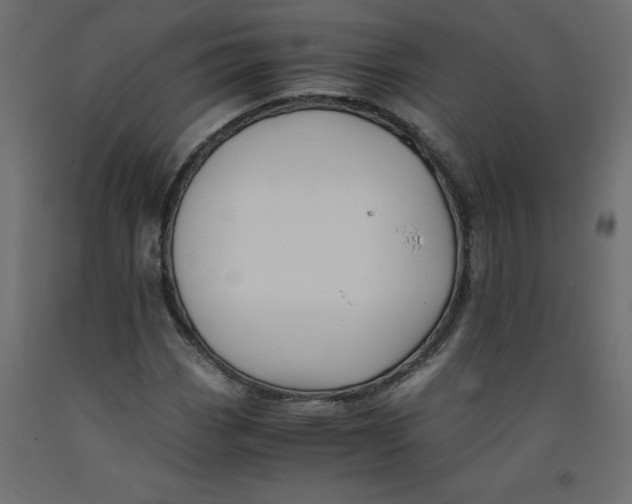 X0000092311113200710121452