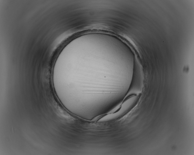 X0000092311115200710121452