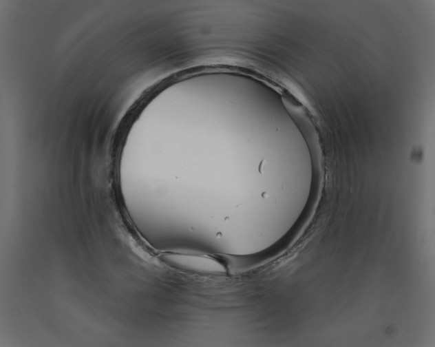 X0000092311116200710121453