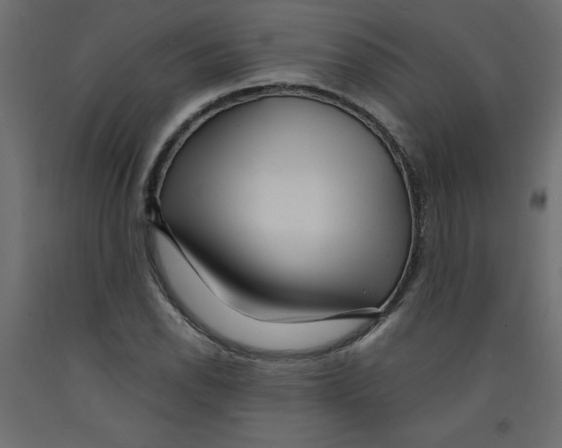 X0000092311118200710121453