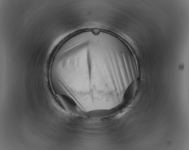 X0000092311120200710121453
