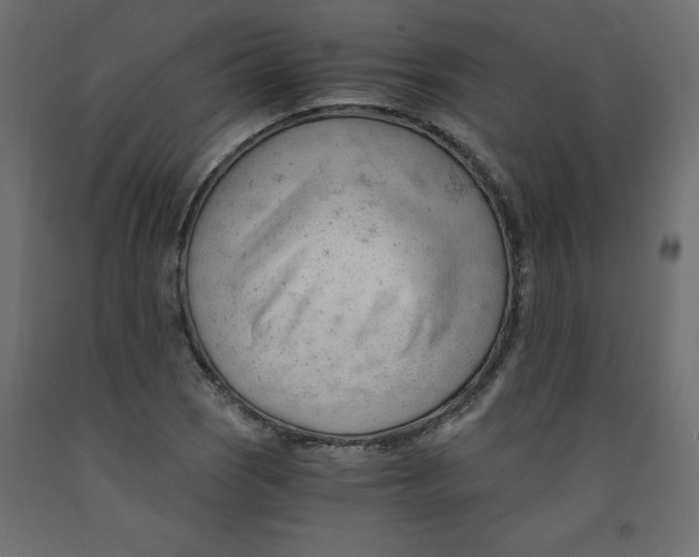 X0000092311121200710121453