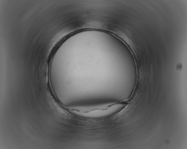 X0000092311123200710121453