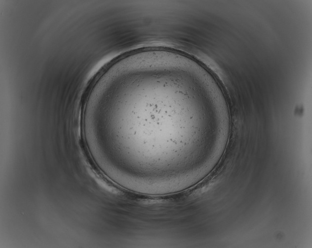 X0000092311127200710121453