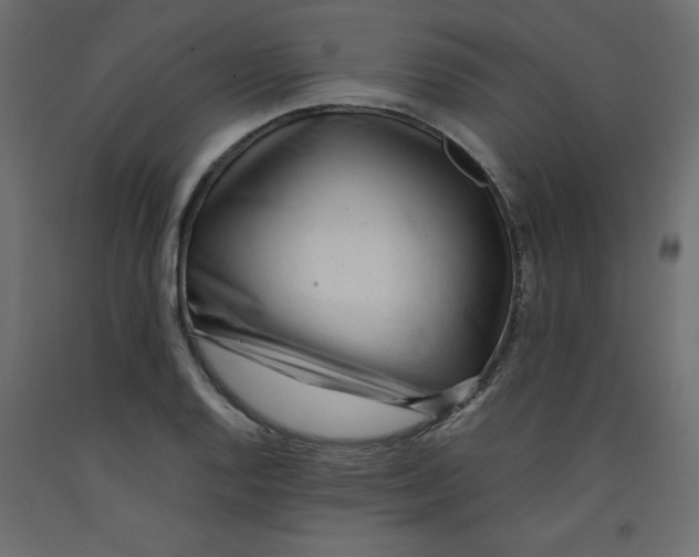 X0000092311128200710121453
