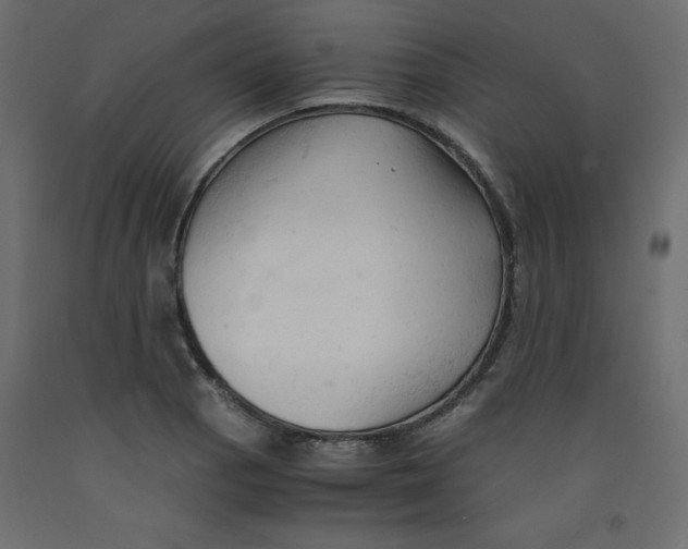 X0000092311129200710121453