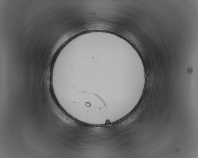 X0000092311130200710121453