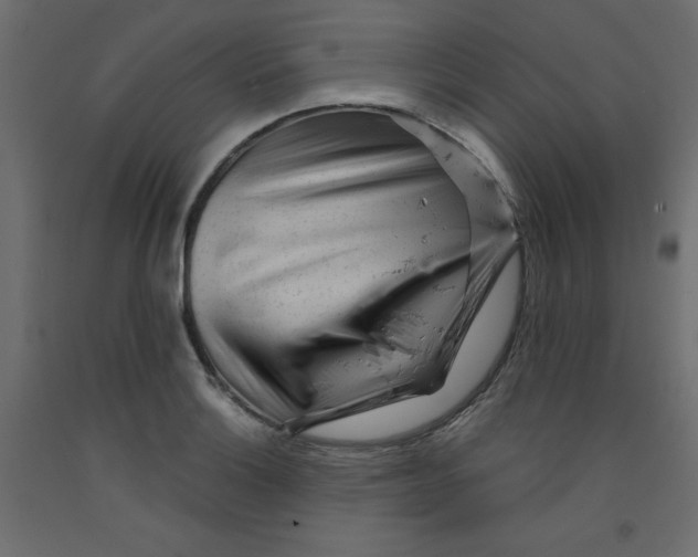 X0000092311132200710121453