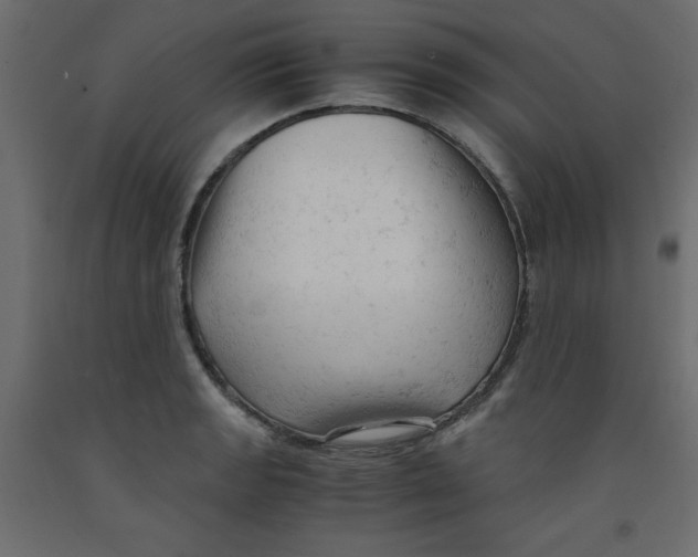 X0000092311133200710121453