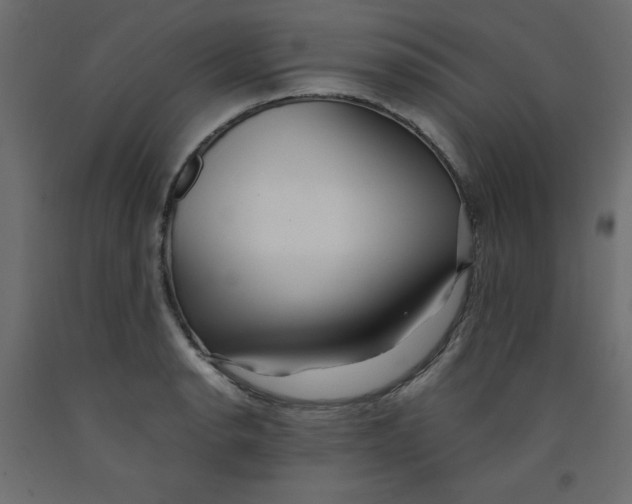 X0000092311134200710121453
