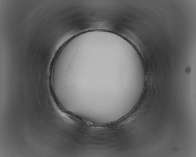 X0000092311135200710121453