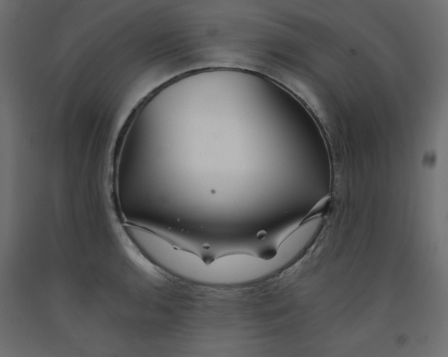 X0000092311136200710121453