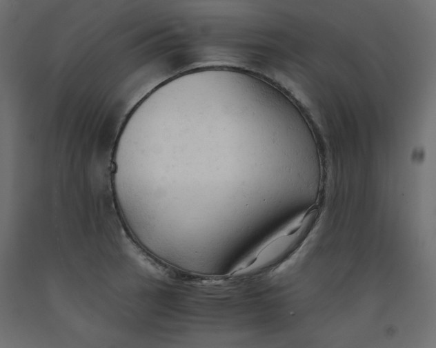 X0000092311137200710121453