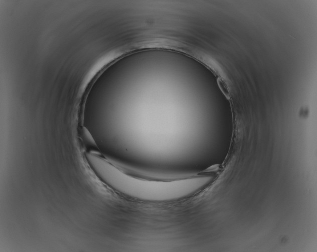 X0000092311138200710121453