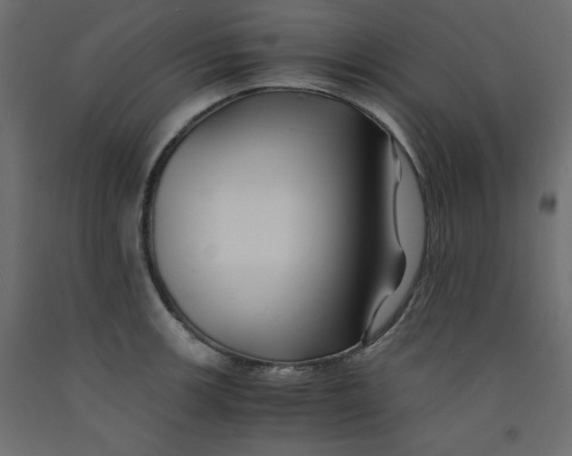 X0000092311139200710121453