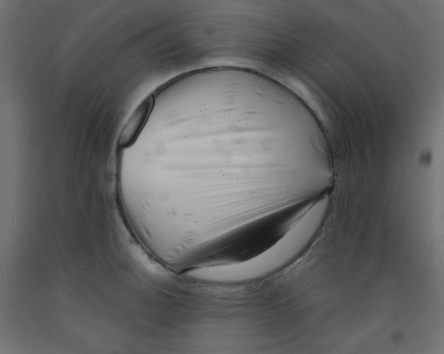 X0000092311140200710121453